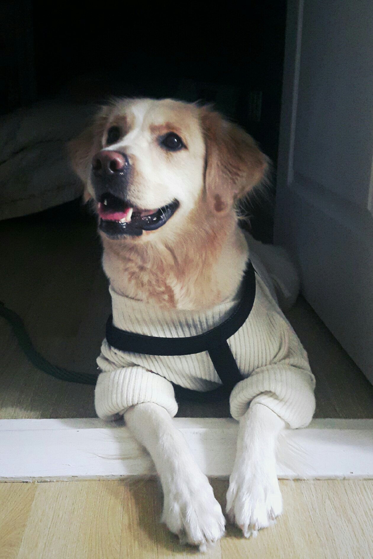 단비 사진 1